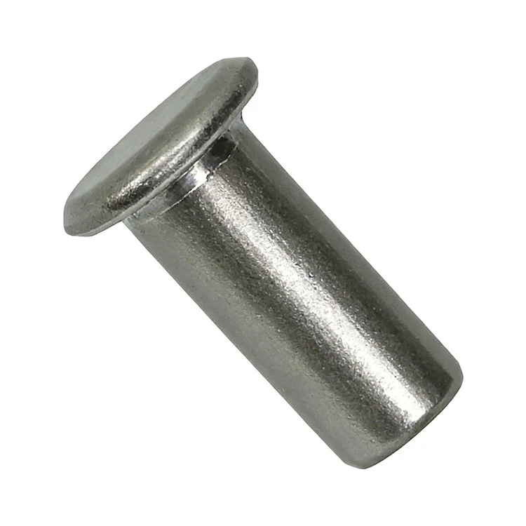 Stainless Steel T Head Rivet For Industrial Fastening