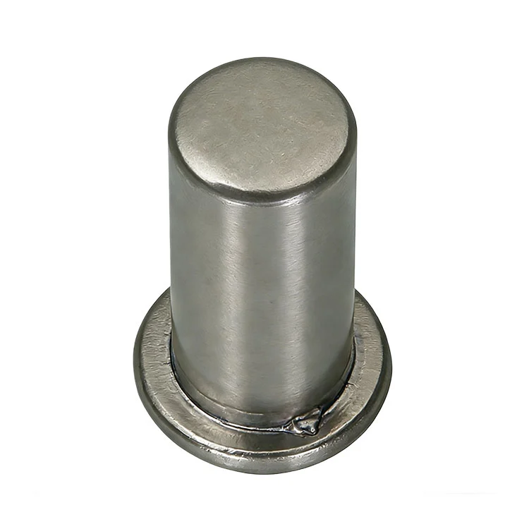 Stainless Steel T Head Rivet For Industrial Fastening